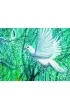 Lightness of Being Affirmation. �ywio� Ziemi