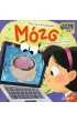 Mzg