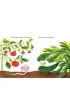 Pomelo si� zastanawia