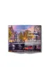 Amsterdam. Rowery i tulipany. Pascal Lajt