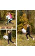 Hobby Horse Skippi. Ko� na kiju bia�y