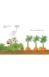 Pomelo �ni