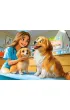 Puzzle 120 el. Dogs at the Vet Castorland