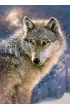 Puzzle 500 el. Lone Wolf Castorland