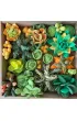 Sensory Art Okto Zestaw Wood&Craft Sukulenty - Energia 21 x 21 cm