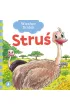 Stru�