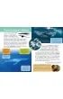 Ma�a encyklopedia. Zwierz�ta morskie