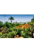 Puzzle 1000 el. Ogr�d Botaniczny Madera Ravensburger