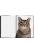 Walter Chandoha. Cats. Photographs 1942-2018 wer. angielska