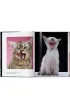 Walter Chandoha. Cats. Photographs 1942-2018 wer. angielska