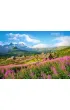 Puzzle 1000 el. Tatry Hala G�sienicowa Castorland