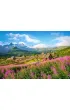 Puzzle 1000 el. Tatry Hala G�sienicowa Castorland