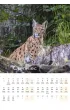 Kalendarz 2027 Bieszczady wieloplanszowy