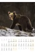 Kalendarz 2027 Bieszczady wieloplanszowy