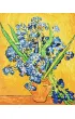 Ideyka Malowanie po numerach - Wazon z irysami 40x50cm