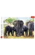 Puzzle 1000 el. Afryka�skie s�onie Trefl