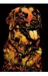 Twoje Hobby Dog. Magiczna zdrapka - wydrapywanka 40.0 x 28.5 cm