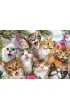Puzzle 500 el. Koty robi� selfie Schmidt