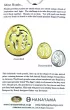 �amig��wka Cast L'Oeuf. Poziom 4/6 G3
