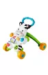Fisher-Price Interaktywny Chodzik Zebra DPL53 Mattel