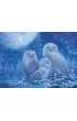 Puzzle 500 el. �wiec�ce w ciemno�ci - Sowy Ravensburger