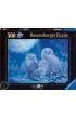 Puzzle 500 el. �wiec�ce w ciemno�ci - Sowy Ravensburger