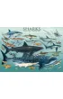 Puzzle 1000 el. Rekiny Eurographics