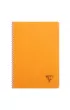 Koonotatnik Linicolor Fresh A4 pp a4 mix kolorw