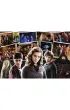 Puzzle 160 el. Harry Potter i przyjaciele Trefl