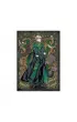 Puzzle 250 el. Harry Potter. Draco Dodo