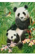 Puzzle 1000 el. Panda Brunch Castorland