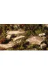 Gamers Grass: Dry Green Shrubs