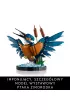 LEGO Icons Zimorodek 10331