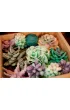 Sensory Art Okto Zestaw Wood&Craft Sukulenty - Czu�o�� 21 x 21 cm