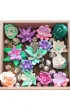 Sensory Art Okto Zestaw Wood&Craft Sukulenty - Czu�o�� 21 x 21 cm