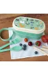 Rex London Lunchbox Bento Koty