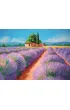Puzzle 500 el. High Quality Collection. Zapach lawendy Clementoni