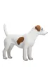 Figurka Pies Jack Russell Terrier