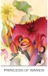 Zillich Tarot, karty do wr�enia