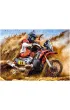 Puzzle 300 el. Dirt Bike Power Castorland