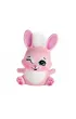 Enchantimals. Bree Bunny Lalka Kr�liczek + figurka Twist FXM73