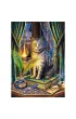 Puzzle 1000 el. Ksi�ga Cieni Trefl