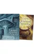 Liminal Spirits Oracle
