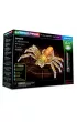 Klocki. Laser Pegs. Spider 6 w 1