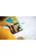 Smart Games. Kr�licza Norka (PL) IUVI Games