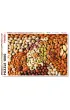 Puzzle 1000 el. Orzechy Piatnik
