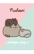 St. Majewski Zeszyt A4 Pusheen laminowany kratka 32 kartki