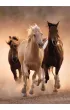 Puzzle 1000 el. Running horses Clementoni