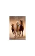 Puzzle 1000 el. Compact Running Horses Clementoni