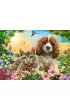 Puzzle 200 el. B-222247 Best Pals Castorland
